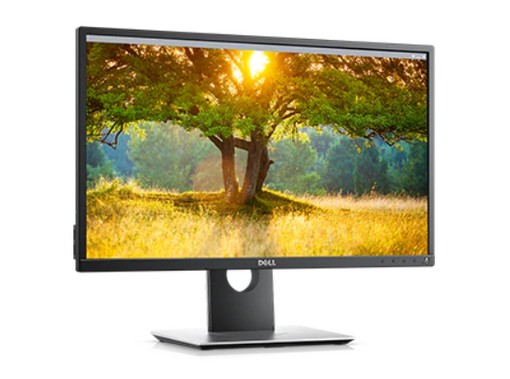 Dell P2417H