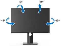 Dell P2421 otočný