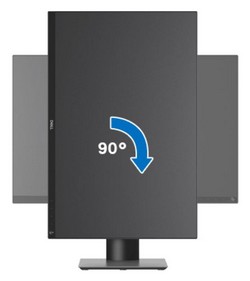 Dell P2421 Pivot
