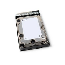 Disk Dell