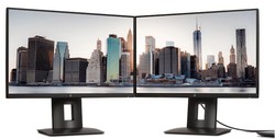 Monitory
