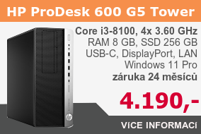 HP ProDesk 600 G5; Core i3-8100